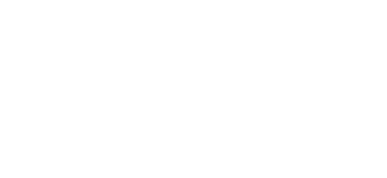 ایوولوشن گیمنگ logo